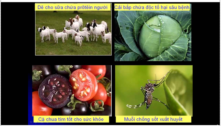 Công nghệ gen là gì lớp 12