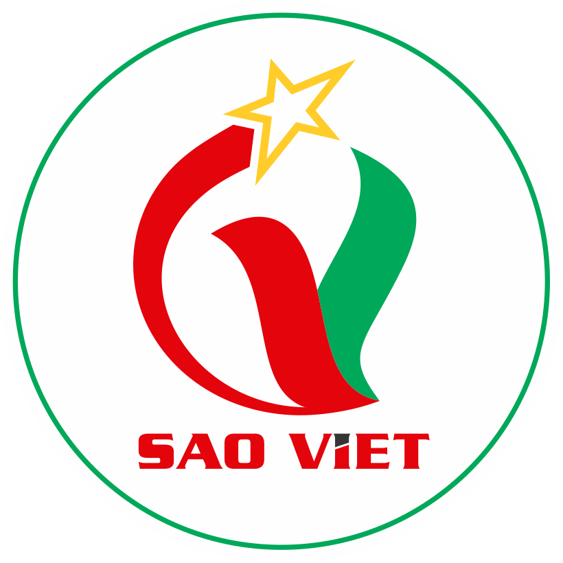 Công ty sao việt, lịch sử, phát triển và Đóng góp trong ngành công nghiệp việt nam