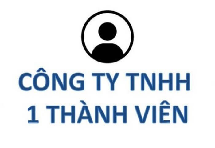 Công ty trách nhiệm hữu hạn một thành viên, tổng quan và những Điều cần biết
