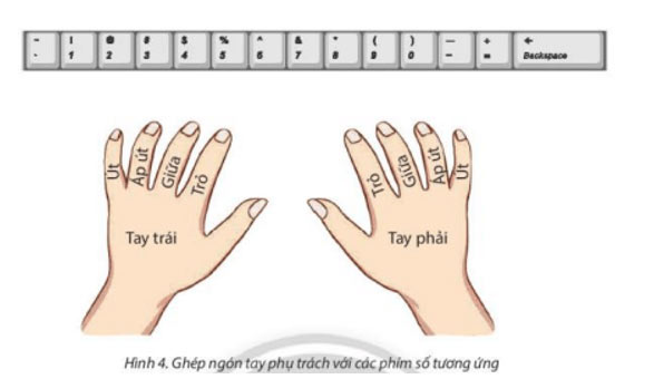 Giải bài tập tin học 4 chân trời sáng tạo