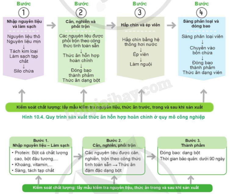 Tiêu chuẩn ăn trong công nghệ 11, khái niệm, vai trò và cách xác định